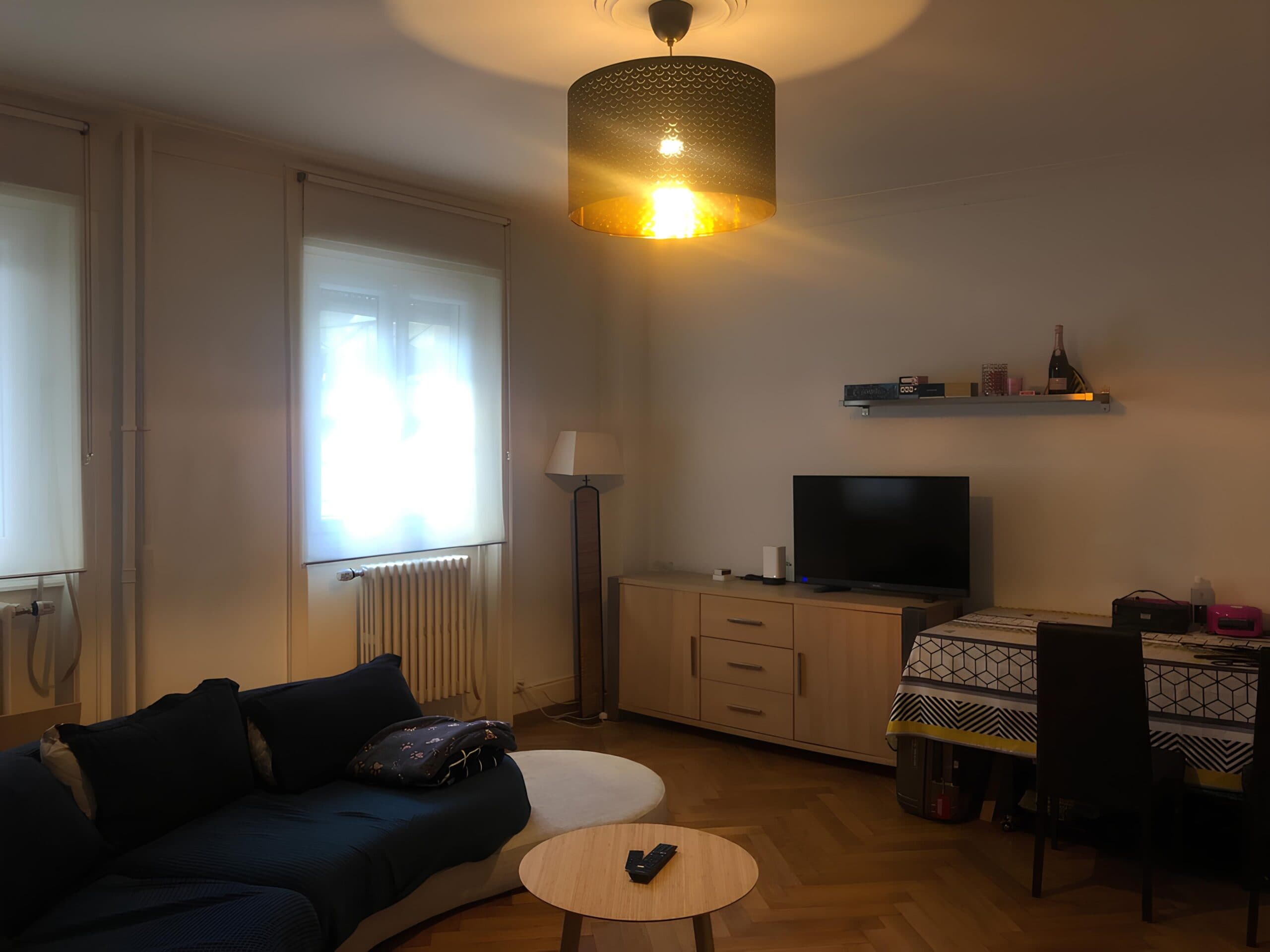 Lausanne central: 2-bedroom near train & metro