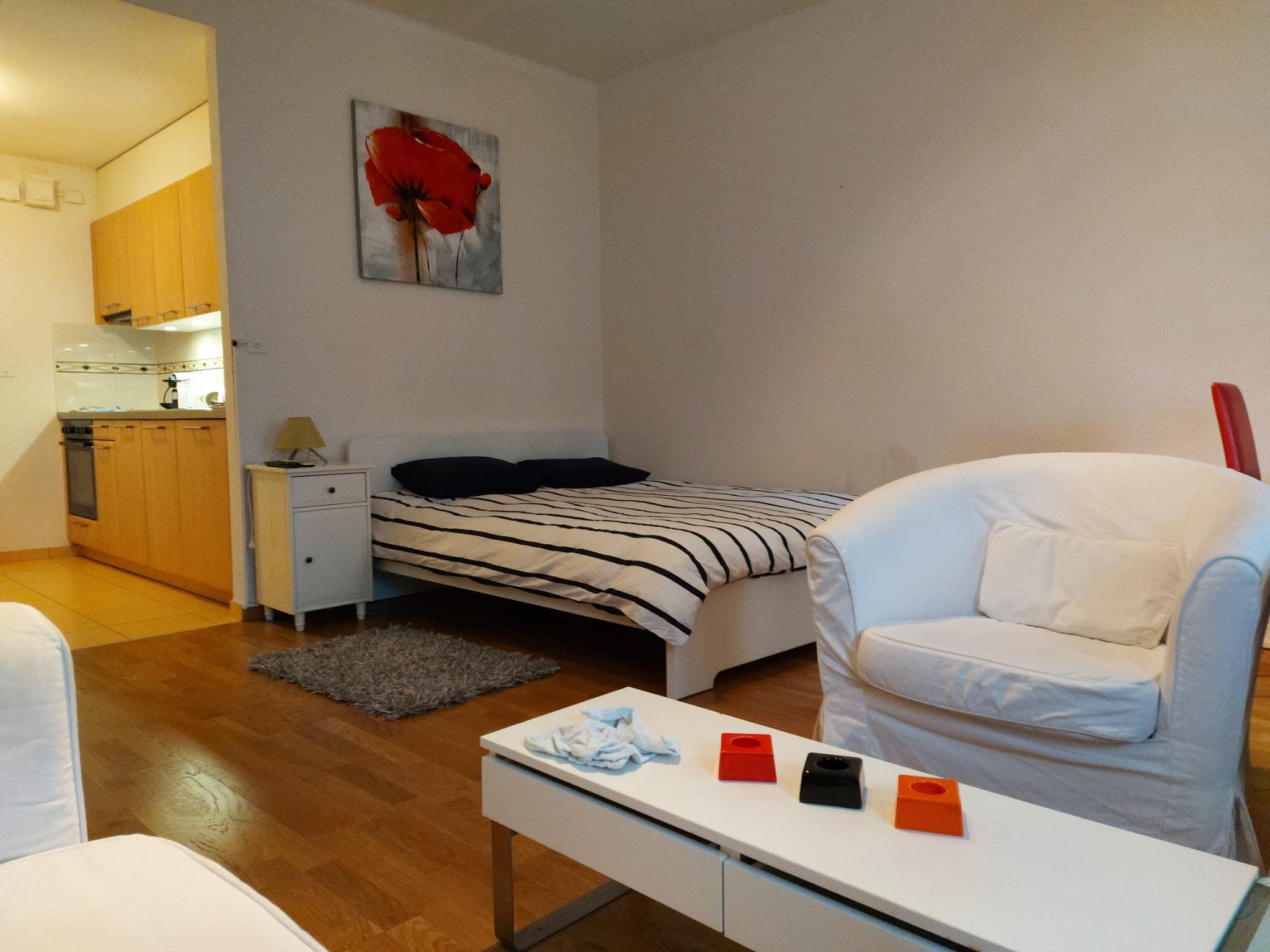 Apartment 7 minutes from Lausanne train station