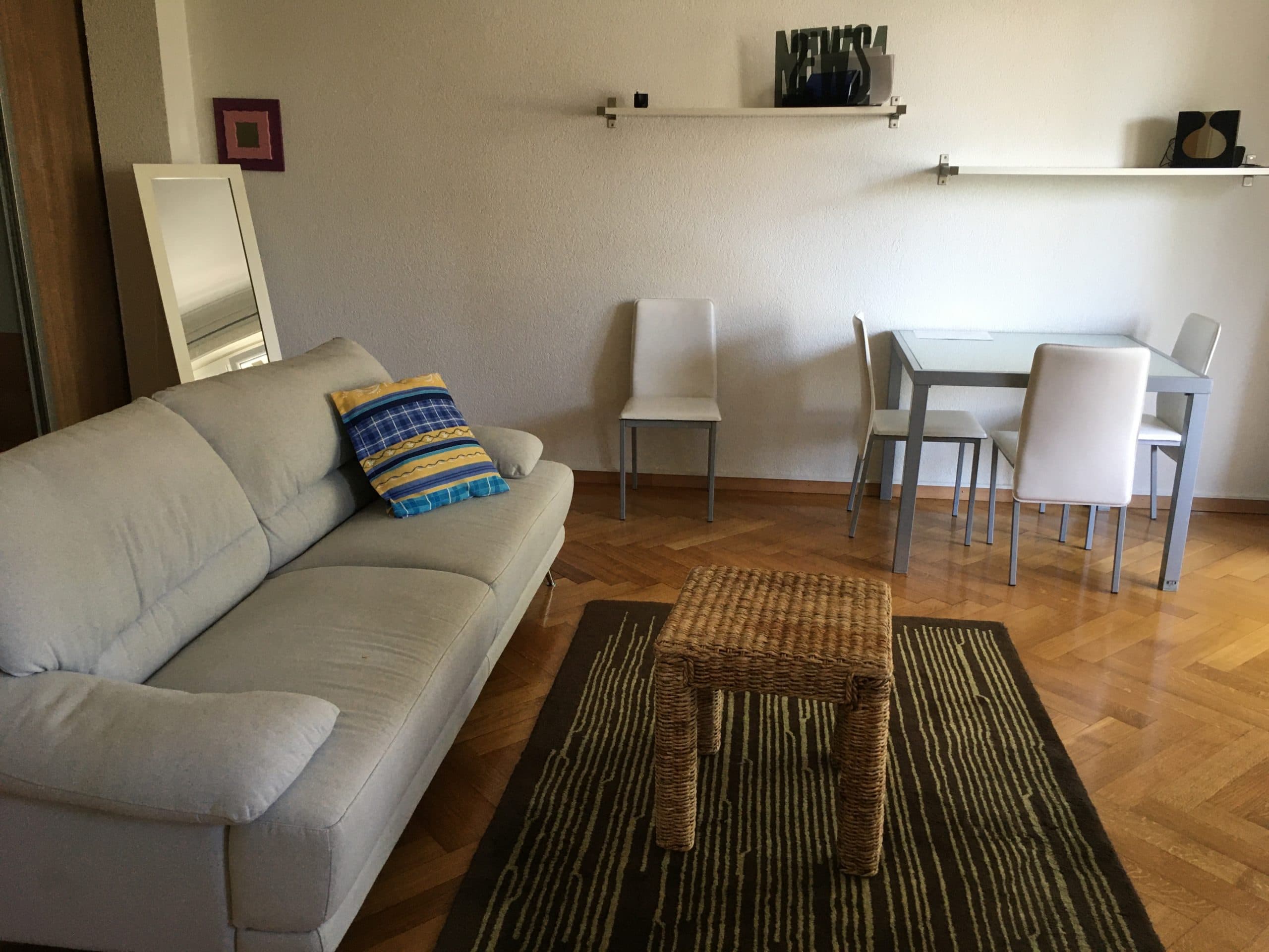 Bright studio with lake view, 1.5 rooms