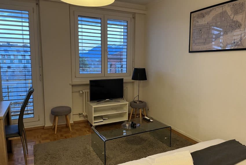 Central flat – 3 min to train & walk to lake