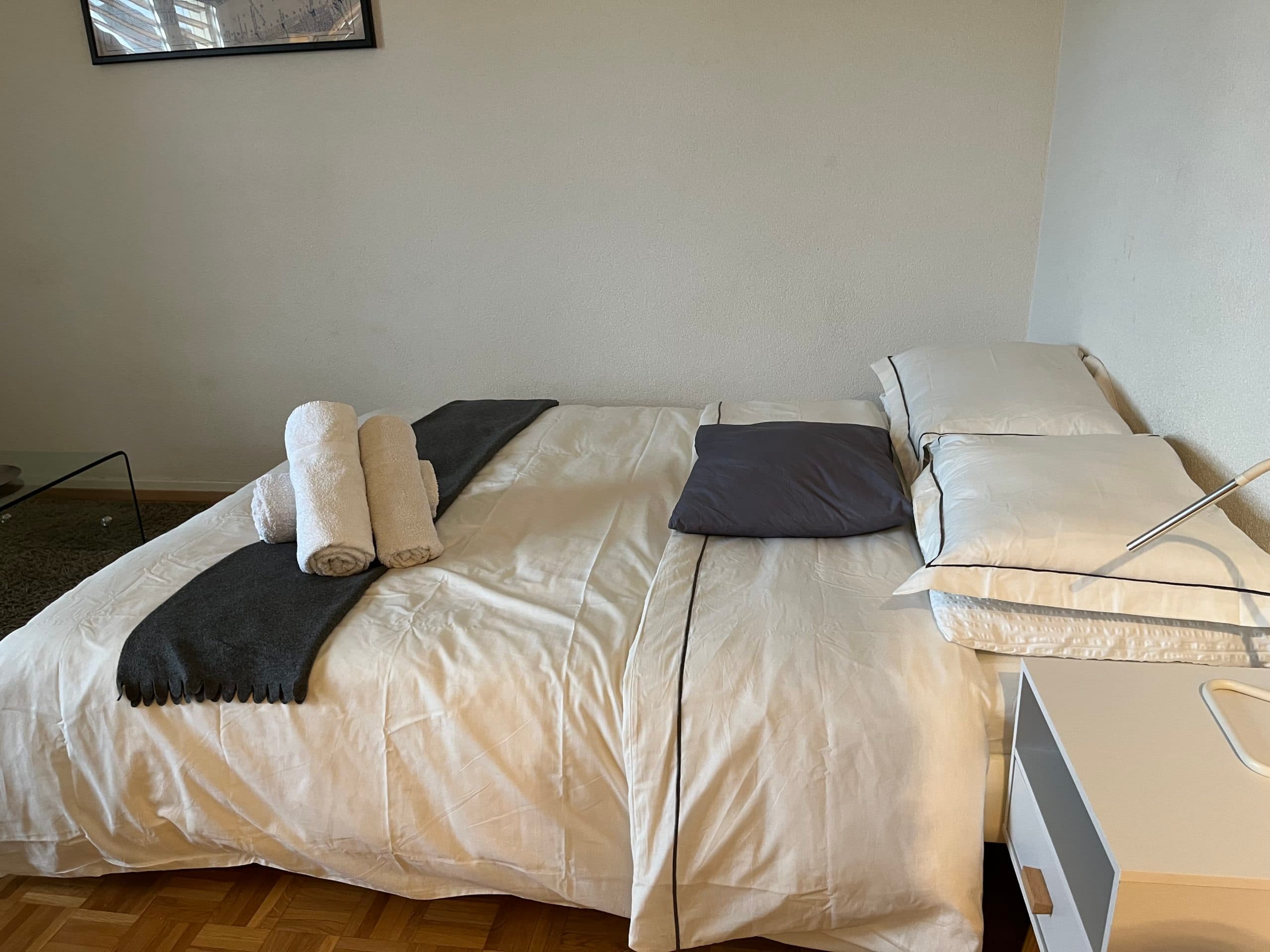 Furnished 1.5-room apartment – Lausanne