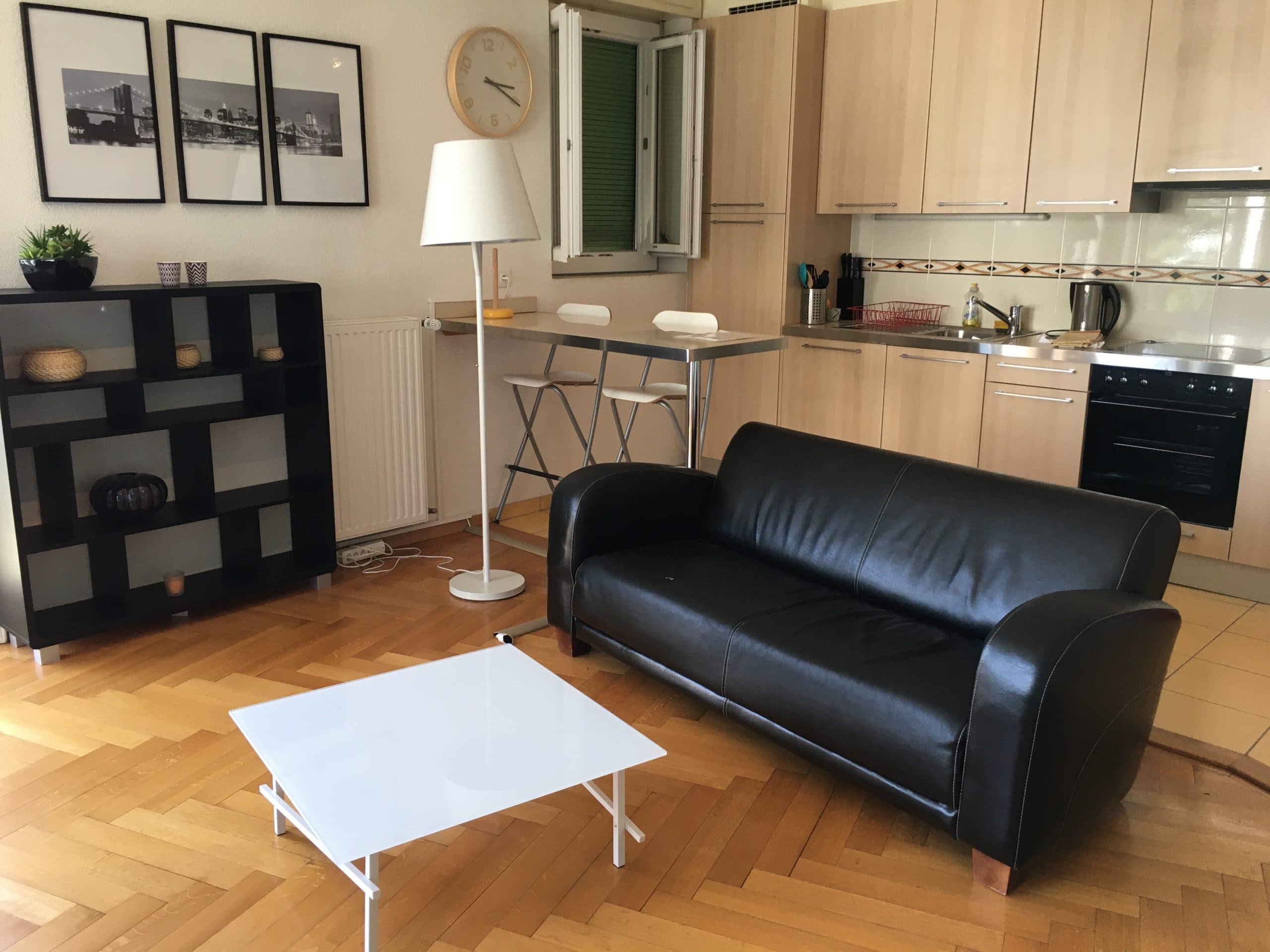 Bright in city center, charming lake view