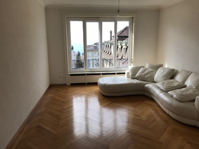 Spacious furnished apartment — central
